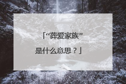 “葬爱家族”是什么意思？