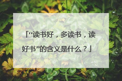 “读书好，多读书，读好书”的含义是什么？