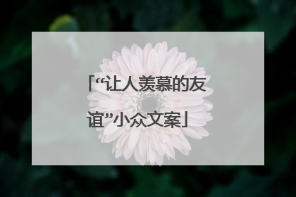 “让人羡慕的友谊”小众文案