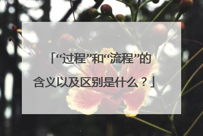 “过程”和“流程”的含义以及区别是什么？