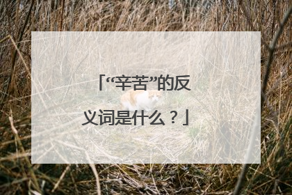 “辛苦”的反义词是什么？