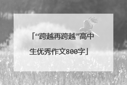 “跨越再跨越”高中生优秀作文800字