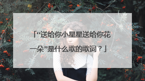 “送给你小星星送给你花一朵”是什么歌的歌词？