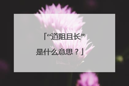 “道阻且长”是什么意思?