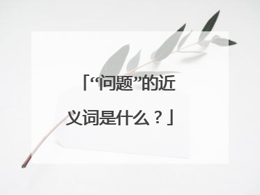 “问题”的近义词是什么？
