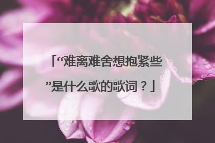 “难离难舍想抱紧些”是什么歌的歌词？