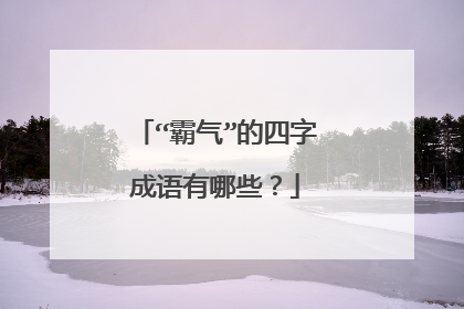 “霸气”的四字成语有哪些?