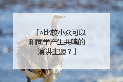 ○比较小众可以和同学产生共鸣的演讲主题？