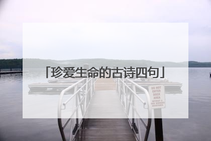 珍爱生命的古诗四句