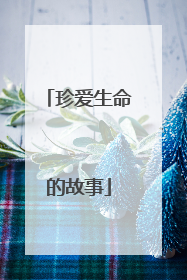 珍爱生命的故事