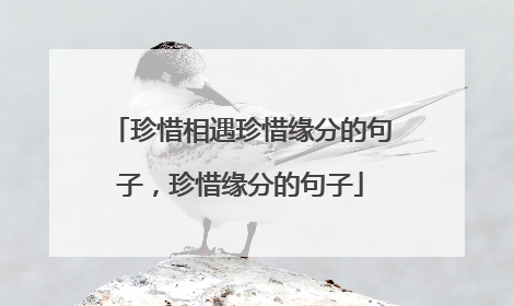 珍惜相遇珍惜缘分的句子,珍惜缘分的句子