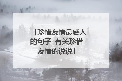 珍惜友情最感人的句子 有关珍惜友情的说说