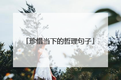 珍惜当下的哲理句子