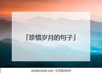 珍惜岁月的句子