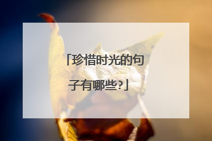 珍惜时光的句子有哪些?