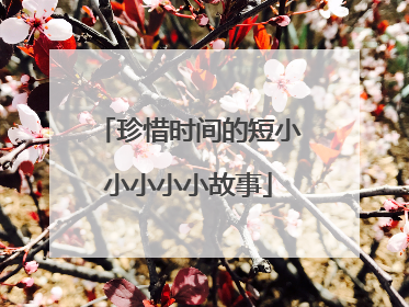 珍惜时间的短小小小小小故事