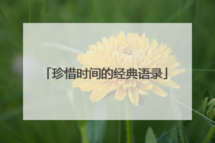 珍惜时间的经典语录