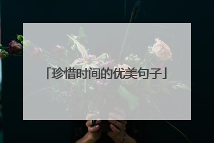 珍惜时间的优美句子