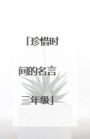 珍惜时间的名言三年级