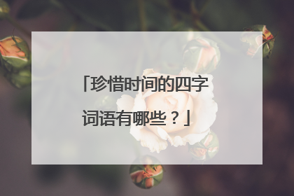 珍惜时间的四字词语有哪些？