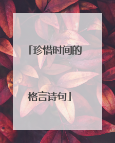 珍惜时间的格言诗句