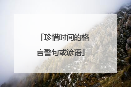 珍惜时间的格言警句或谚语