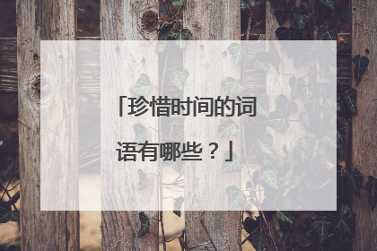 珍惜时间的词语有哪些？