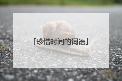 珍惜时间的词语