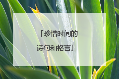 珍惜时间的诗句和格言