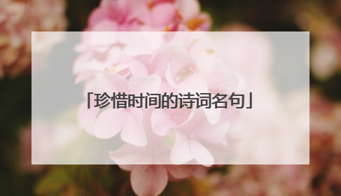 珍惜时间的诗词名句