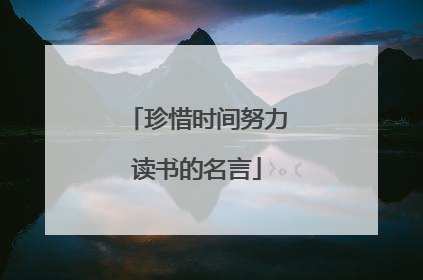 珍惜时间努力读书的名言