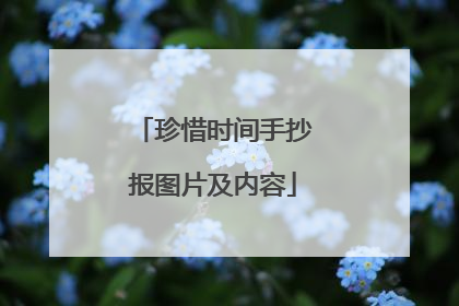 珍惜时间手抄报图片及内容