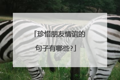 珍惜朋友情谊的句子有哪些?