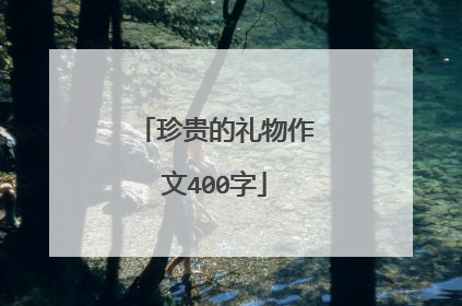 珍贵的礼物作文400字