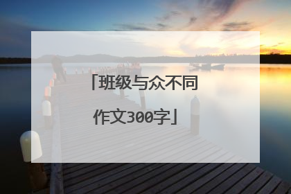 班级与众不同作文300字