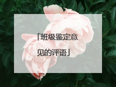 班级鉴定意见的评语