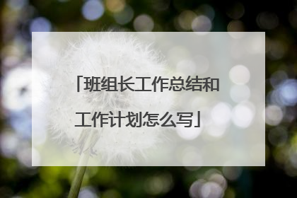 班组长工作总结和工作计划怎么写