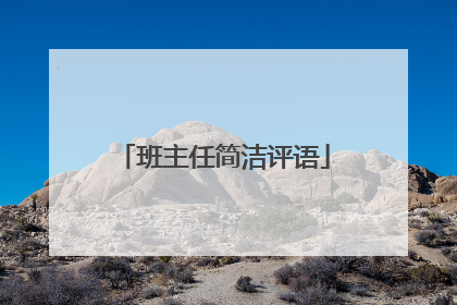 班主任简洁评语