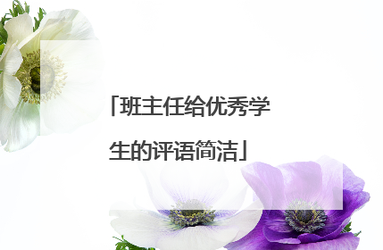 班主任给优秀学生的评语简洁