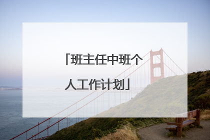 班主任中班个人工作计划