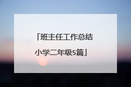 班主任工作总结小学二年级5篇