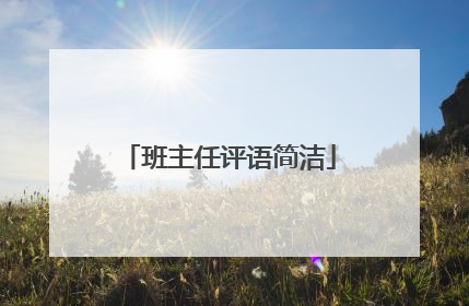 班主任评语简洁