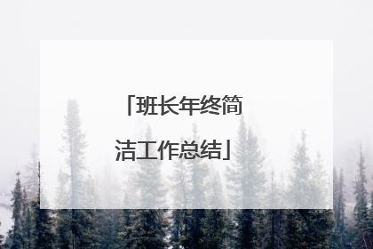 班长年终简洁工作总结