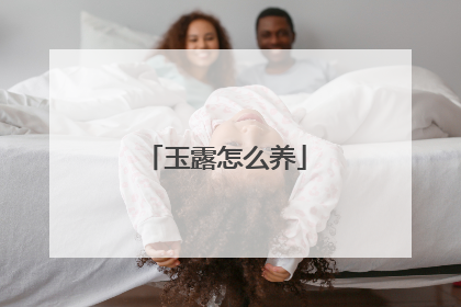 玉露怎么养