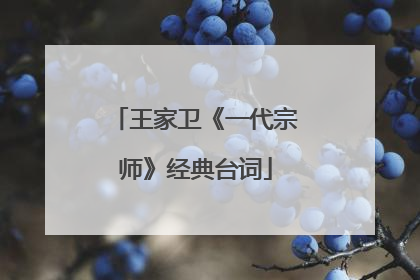 王家卫《一代宗师》经典台词