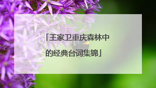 王家卫重庆森林中的经典台词集锦