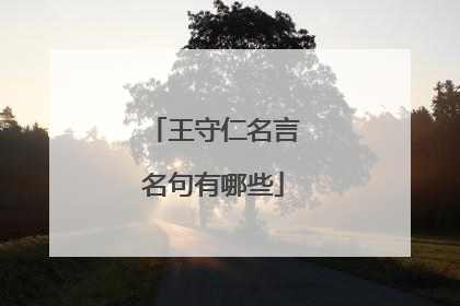 王守仁名言名句有哪些