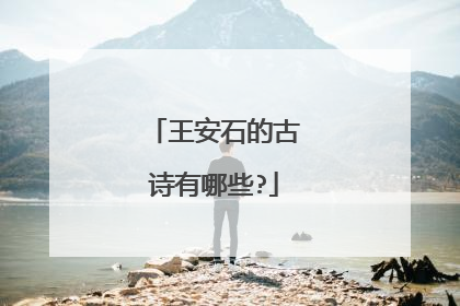 王安石的古诗有哪些?
