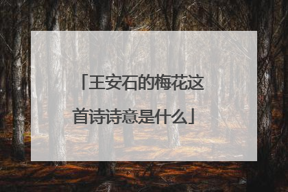 王安石的梅花这首诗诗意是什么