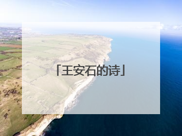 王安石的诗